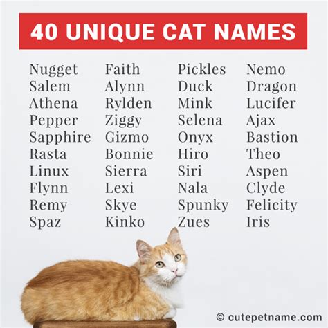 unusual cat names